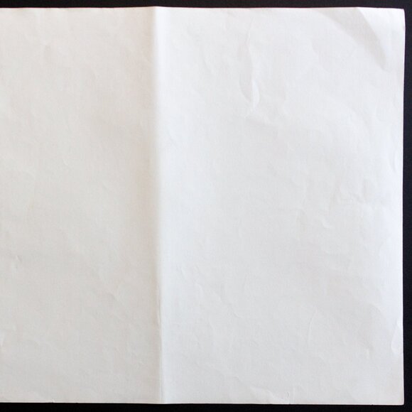 WASHING WHEAT — SAN JUAN #64 Edward Sheriff Curtis Print - Picture 14 of 15